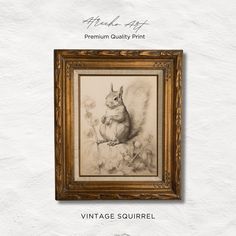 an antique squirrel print hangs on the wall in front of a wooden framed artwork frame