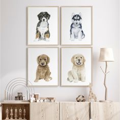 three pictures of dogs are hanging on the wall above a dresser in a white room