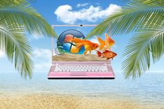 an open laptop computer sitting on top of a sandy beach next to a palm tree