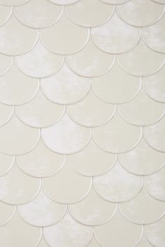 an image of a white fish scale wallpaper