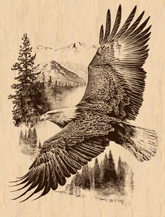 a drawing of an eagle flying in the air with mountains and pine trees behind it