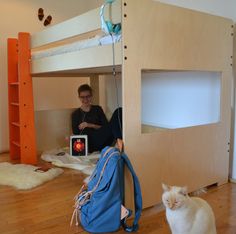 a cat is sitting on the floor next to a bunk bed with a person in it