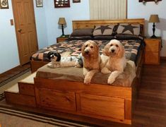 three dogs laying on top of a bed in a bedroom