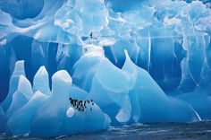 an iceberg is shown in the water with birds flying over it and another bird sitting on top