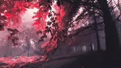 red leaves on the ground and trees in the background with foggy sky behind them