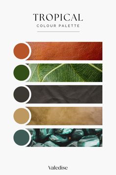 the tropical color palette is shown in shades of brown, green and orange with text that reads