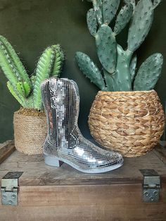 a pair of silver cowboy boots sitting next to a potted cactus