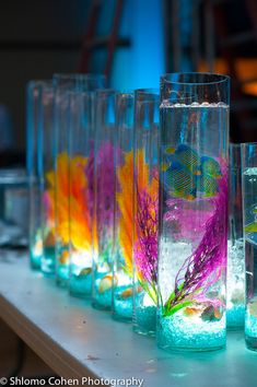 there are many vases filled with water and colorful fish in them on the table