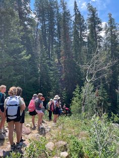 a group of people with backpacks walking up a hill in the woods on a sunny day