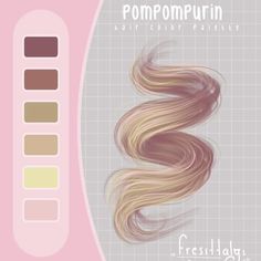 the hair color palette is shown in this image