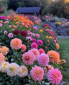 a garden filled with lots of different colored flowers