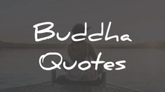 the words buddha quotes are written in white over a photo of a person sitting on a dock