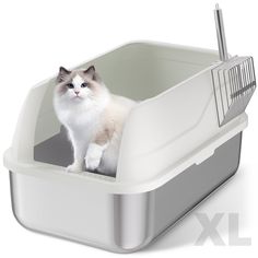 a cat is standing in a litter box