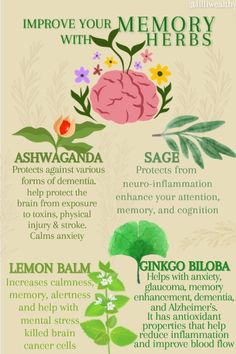 the benefits of herbs for memory and mental health infos, mind map, natural medicine, medical humor, brain images, healthy tips, how to get rid from sleep, person, good news