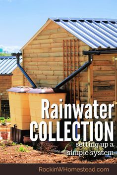 the cover of rainwater collection featuring two buckets in front of a log cabin