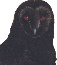 an owl with red eyes is shown on a white background and has long, black feathers