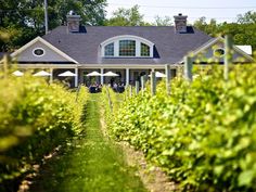 the house is surrounded by lush green bushes