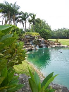 there is a small pond in the park