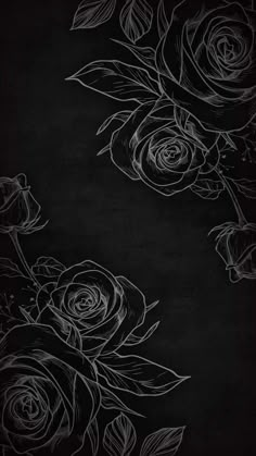 black and white roses on a dark background