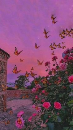 many butterflies flying in the sky above some pink and purple flowers with a brick building behind them