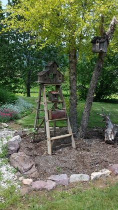 a wooden ladder next to a tree with bird houses on it in the middle of a yard