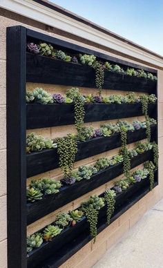 a wall mounted planter with succulents on the side of a building