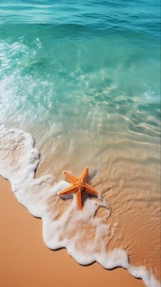 a starfish is laying on the sand at the beach with blue water in the background