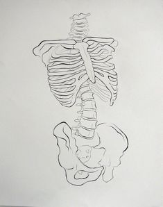 a black and white drawing of a human skeleton