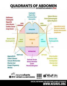 the quadrants of aboomn on an iphone screen, with text below it