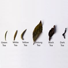 five different types of tea leaves on a white surface with the words green, yellow, black, and dark tea