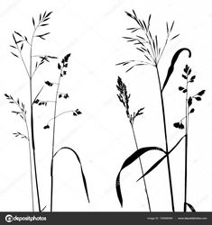 black and white silhouettes of plants on a white background stock photo 547982