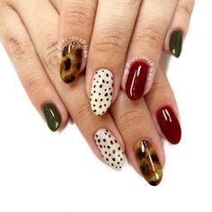 Tortoise Shell Nails, Shell Nails, Manicure Nail Designs, Basic Nails, Animal Print Nails, Nails Only, Get Nails, Fabulous Nails