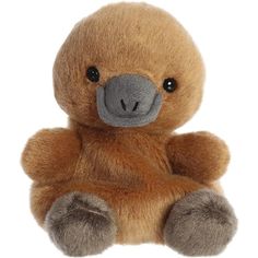 a brown teddy bear sitting up against a white background