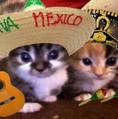 two small kittens wearing sombreros and hats