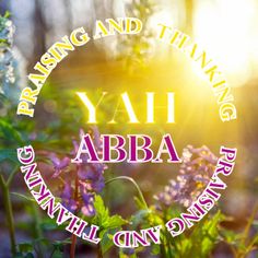 the words yah abra are in front of some purple and white flowers with green leaves