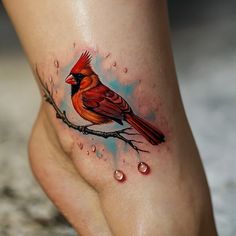 a red bird sitting on top of a tree branch with water droplets around its legs