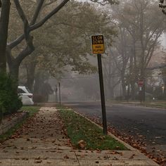 a stop sign on the side of a road with trees in the background and foggy sky