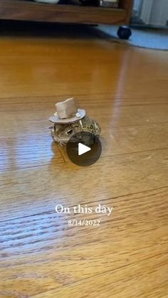 a ring with a hat on it sitting on top of a wooden floor