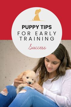 a woman holding a puppy in her lap with the caption puppy tips for early training success