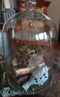 a glass clochet filled with books and plants