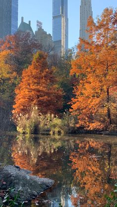 the trees are changing colors in the city's fall foliage, while the water is still calm