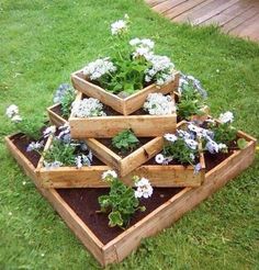 a group of wooden boxes filled with plants