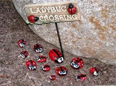 the ladybug crossing sign has been placed in front of a rock