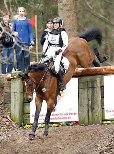 a person riding on the back of a brown horse jumping over a wooden fence with people watching