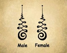 two blue earrings with the word male and female on them, against a beige background