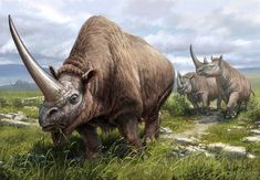 an artist's rendering of two large horned animals walking through the grass with long tusks