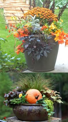 an assortment of flowers and plants in pots