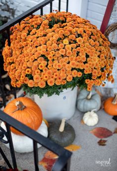 an arrangement of flowers and pumpkins on the porch