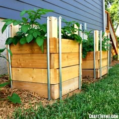 several wooden planters with plants growing in them on the side of a house's lawn