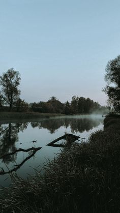 the water is still calm and there are trees in the distance on the other side